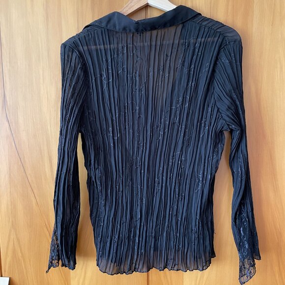 Vintage Pleated Sheer Blouse - Picture 6 of 6